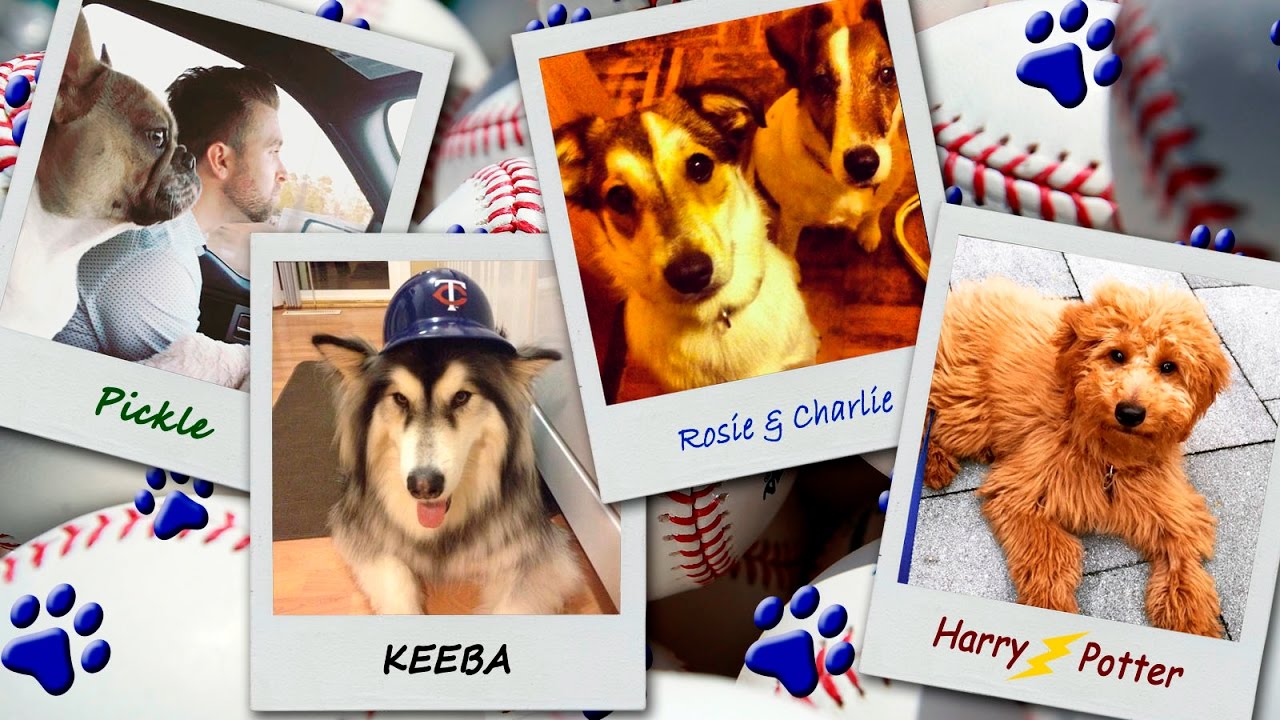 Bark at the Park: Twins players showcase pet pooches