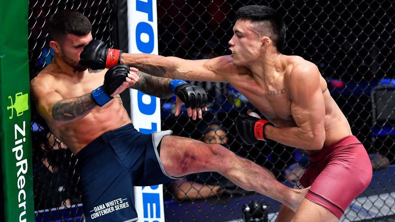 Week 4 Highlights | Dana White’s Contender Series Season 5