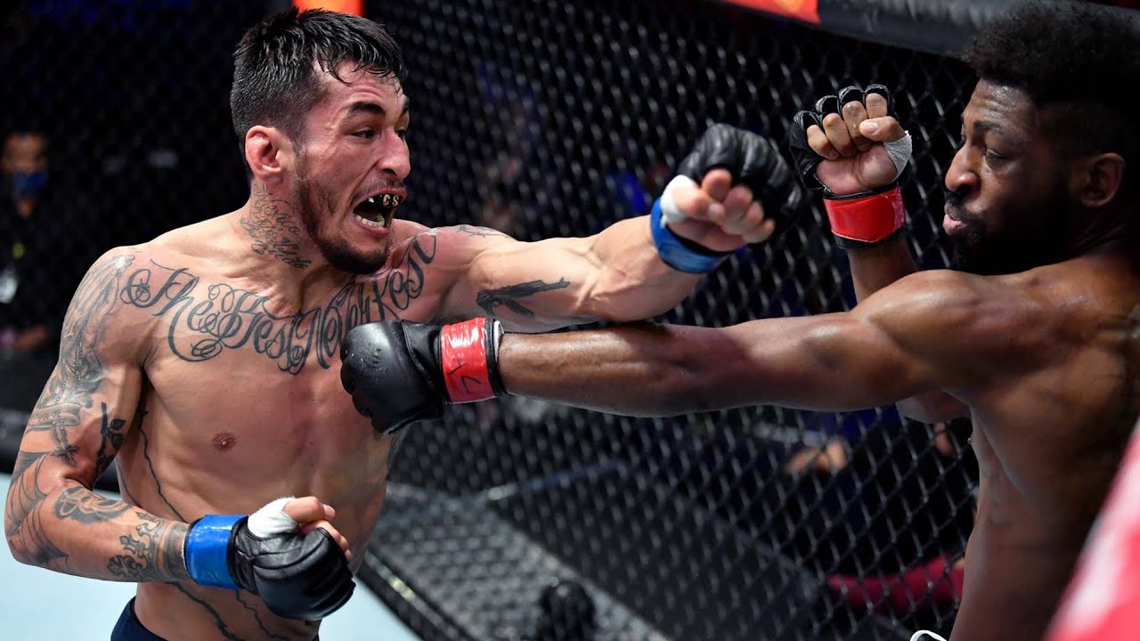 Week 6 Highlights | Dana White’s Contender Series Season 5