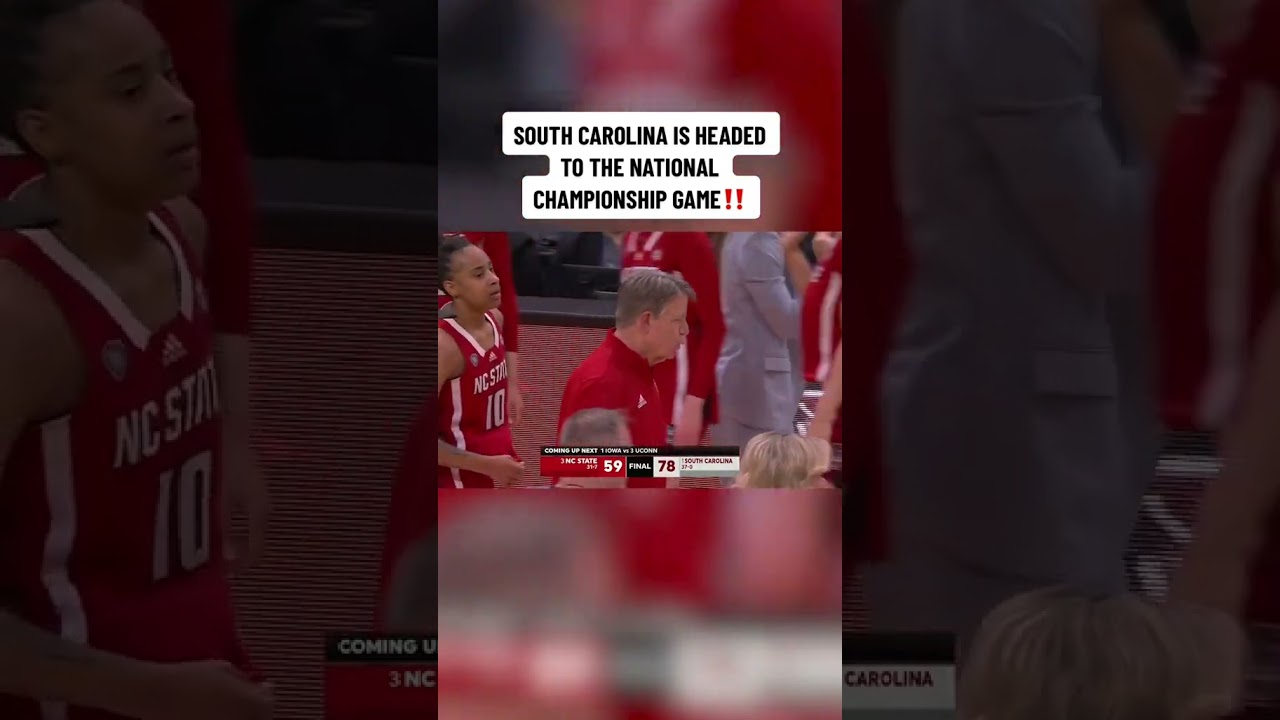 South Carolina’s undefeated season stays alive ???????? shorts